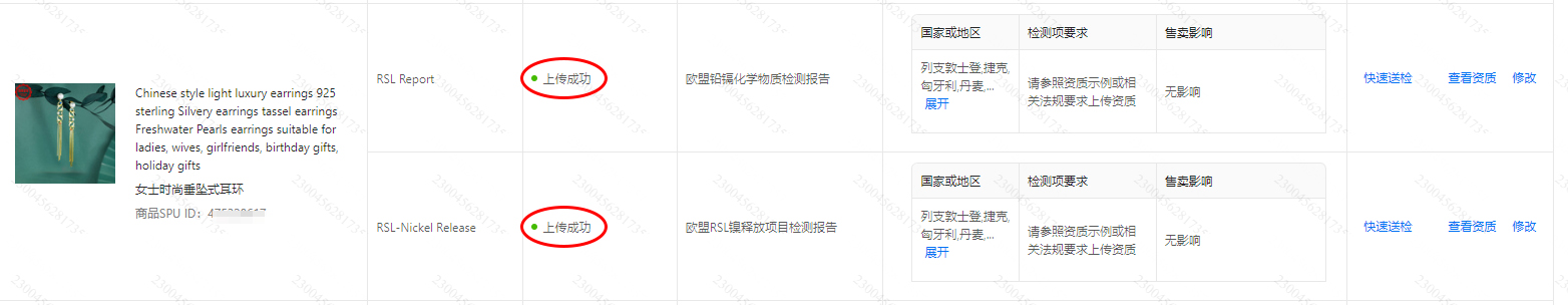 03-TEMU-2-耳环-RSL.jpg