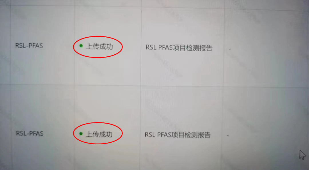 07-TEMU-2-RSL.jpg